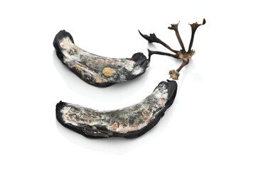 Decayed bananas isolated on white background   