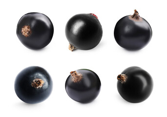 Ripe black currants isolated on white, set - obrazy, fototapety, plakaty