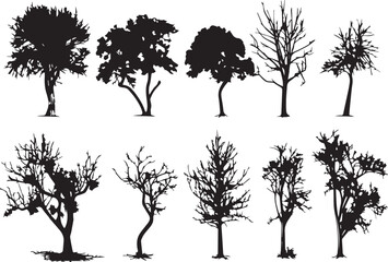 Set Trees. Hand drawn vector illustration	