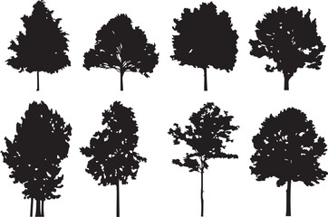 Set Trees. Hand drawn vector illustration	