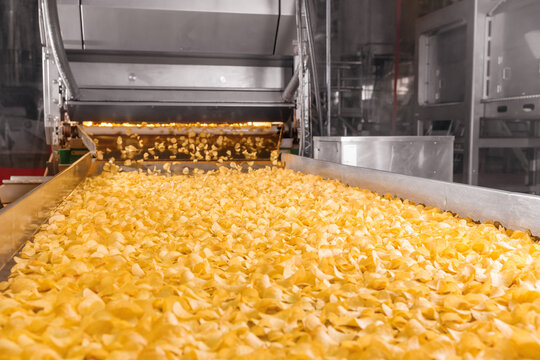 Conveyor line for frying potato chips production at modern food factory
