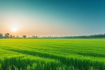 Image of vast, lush green field under bright, clear sky