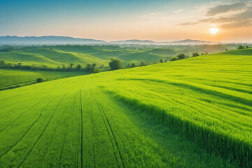 Fototapeta premium Image of vast, lush green field under bright, clear sky