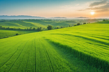 Naklejka premium Image of vast, lush green field under bright, clear sky
