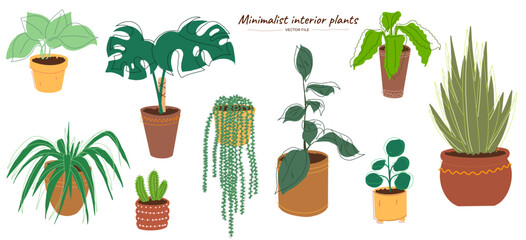Plantes vertes style minimaliste. Fichier vectoriel de plantes d'intérieures. Feuilles et plantes vertes minimaliste dans un style minimal année 60-70	
