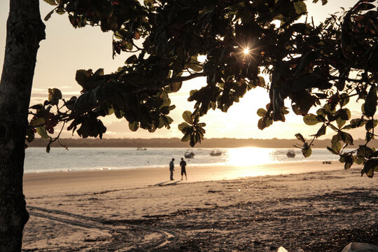 Ilha de superagui