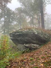 rock ledge in middle of woods