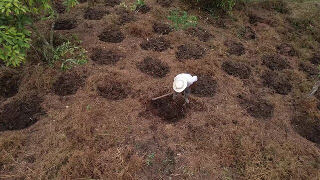 Campesino Arando la Tierra 