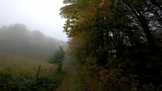Vermont Driving 003 Vershire