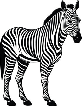 Zebra is Standing  Silhouette Vector Art illustrator Design 