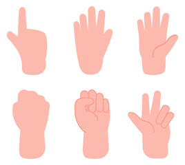 Fototapeta premium Hand gestures set. Pointing finger and fist front and back view