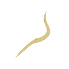 Parasitic Worm Vector