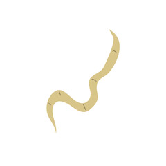 Parasitic Worm Vector