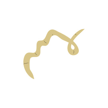 Parasitic Worm Vector