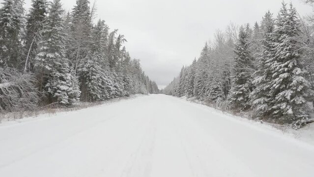 POV while driving along a snow covered road that is surrounded by a thick evergreen forest. The trees are covered by thick snow.
