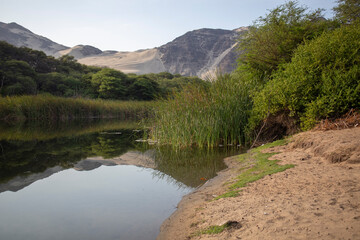 Laguna en medio de bosque que está siendo deforestado y secando por el calentamiento global 