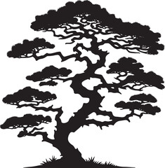 Pine trees silhouettes