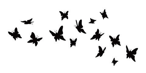 butterflies silhouette design. beauty insect sign and symbol. - obrazy, fototapety, plakaty