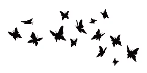Foto op Plexiglas butterflies silhouette design. beauty insect sign and symbol. © redranger