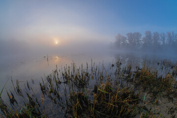 morning mist over the river