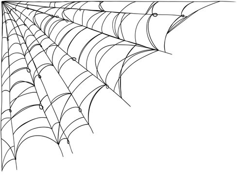 Spiderweb corner frame in hand drawn sketch style