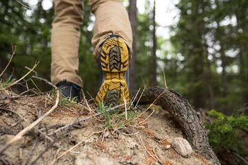 Fototapeta na wymiar hiking boots in forest
