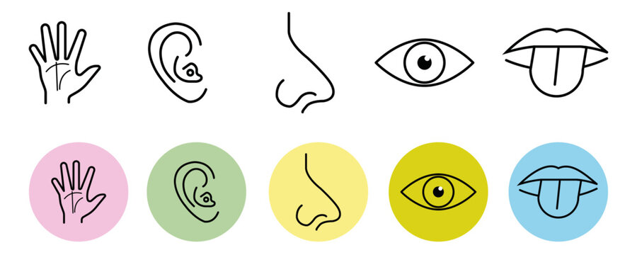 Human sense icon set editable stroke isolated on white transparent background. Vector element.