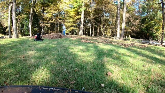 time lapse woman blowing and raking the leaves in the backyard in the fall