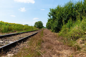 Fototapeta premium railway in the countryside
