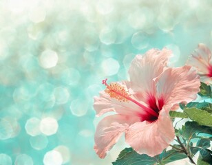 Pastel mint green background with tropical hibiscus flower. Copyspace, bokeh effect.  - obrazy, fototapety, plakaty
