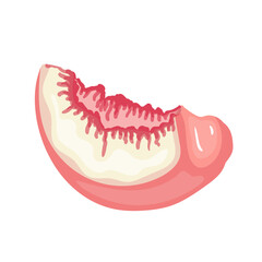 A piece of ripe, juicy peach and nectarine fruit. Vector graphics.