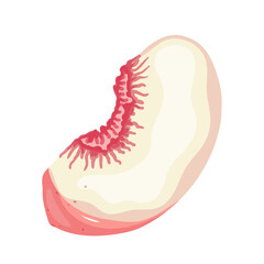 A piece of ripe, juicy peach and nectarine fruit. Vector graphics.