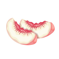 A piece of ripe, juicy peach and nectarine fruit. Vector graphics.