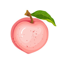 Juicy, ripe peach fruit. Vector graphics.