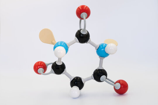 Barbituric acid, (also malonylurea or 6-hydroxyuracil) molecule made by molecular model on white background. Chemical formula with colored atoms and bonds