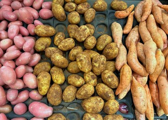 Red-skinned potatoes, brushed russet potatoes, and sweet potatoes displayed for sale at the market