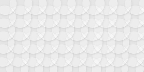  Abstract white, gray background with circles. background white in cover design, book design, website background. digital technology wallpaper used in the corporate in design. geometric circle pattern
