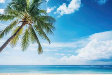 Coconut palm tree on tropical beach with blue sky and sea background