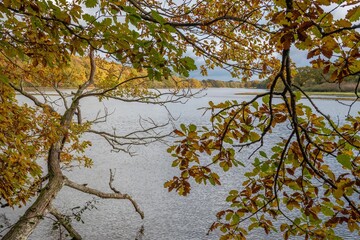 view of The River Hamble Hampshire England through Autumn coloured trees