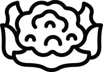 Leaf cauliflower icon outline vector. Cooking leaves. Nature farm dark