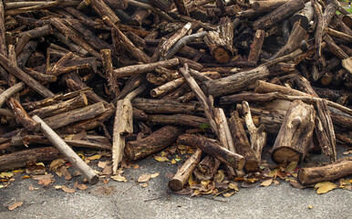 Pile of firewood