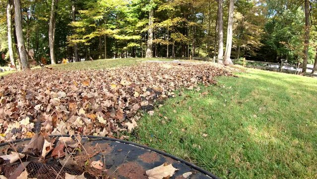 time lapse woman blowing and raking the leaves in the backyard in the fall