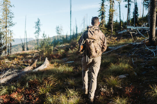 Hunter in the forest
