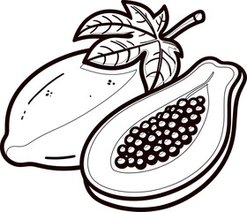 illustration of a papaya for coloring book