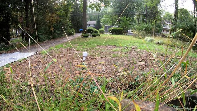 time lapse woman blowing and raking the leaves in the front yard in the fall