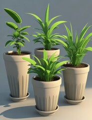Obraz premium green plants in a flower pot