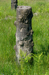 Obraz premium Pillar in Jewish cemetery in Modrzejów. Sosnowiec, Poland.