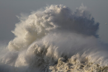 Big stormy wave splash
