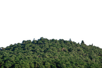 Obraz premium Beautiful green hill isolated background. 