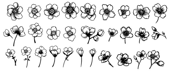 Sketch of spring flowers of quince, almond, apple tree branches with buds and flowers. Hand draw botanical doodle vector illustration in black contrast with white fill. - obrazy, fototapety, plakaty